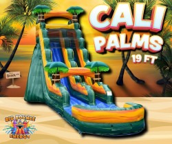 Cali Palms 20 FT Slide (Wet or Dry)