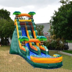 Cali20Palms202020FT20Slide 3 1762692909 Cali Palms 20 FT Slide (Wet or Dry)