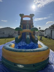 Cali20Palms202020FT20Slide 4 1762693348 Cali Palms 20 FT Slide (Wet or Dry)