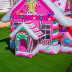 Candy20Combo 4 1764522655 Candy Combo (Wet or Dry)