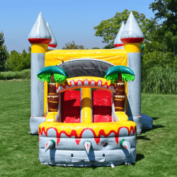 IMG 5826 1770374117 T-Rex Combo (Wet or Dry)